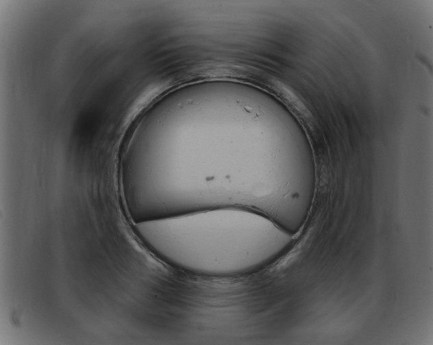 X0000093420986200710120853
