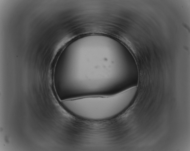 X0000093420987200710120853