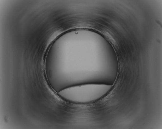 X0000093420990200710120853