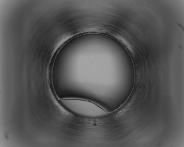 X0000093420991200710120853