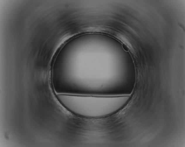 X0000093420992200710120853