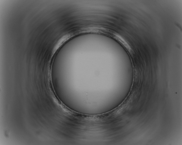 X0000093420994200710120853