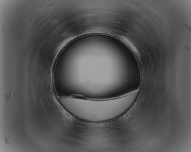 X0000093420996200710120853