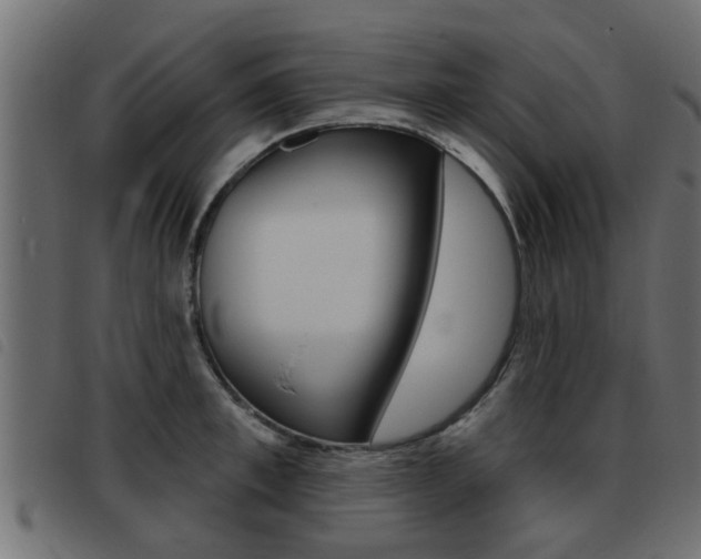 X0000093420997200710120853