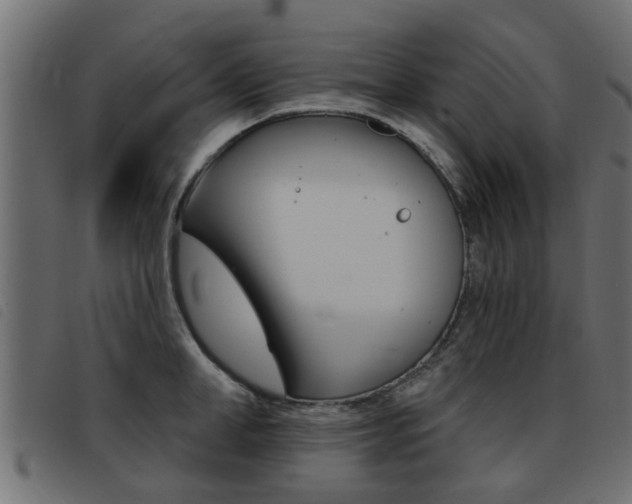 X0000093420998200710120853