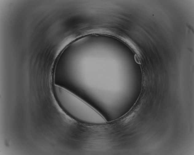 X0000093420999200710120853