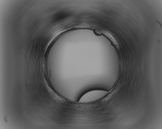 X0000093421000200710120853