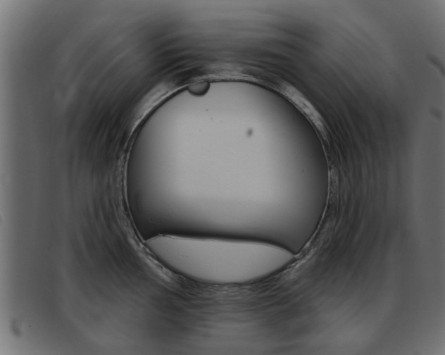 X0000093421002200710120853