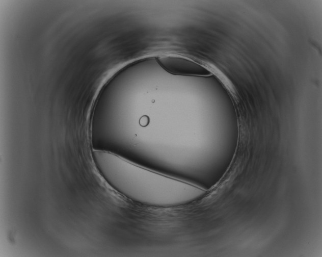 X0000093421004200710120853