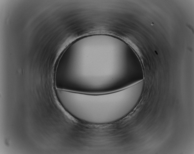 X0000093421005200710120853