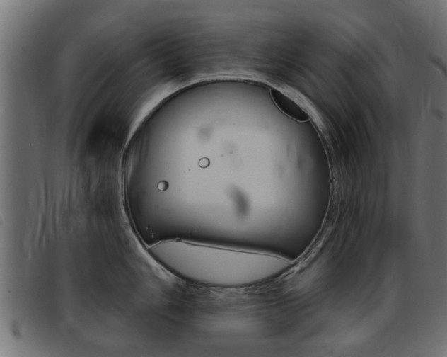 X0000093421006200710120853