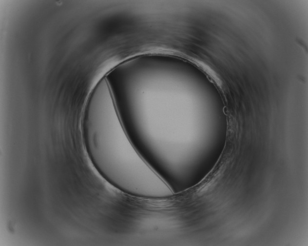 X0000093421007200710120853