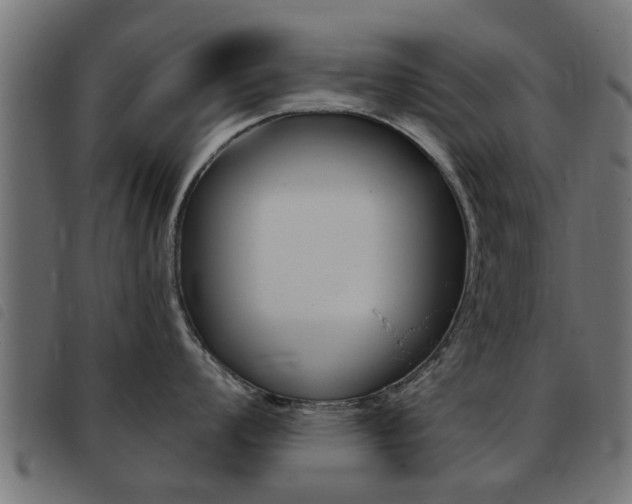 X0000093421008200710120853