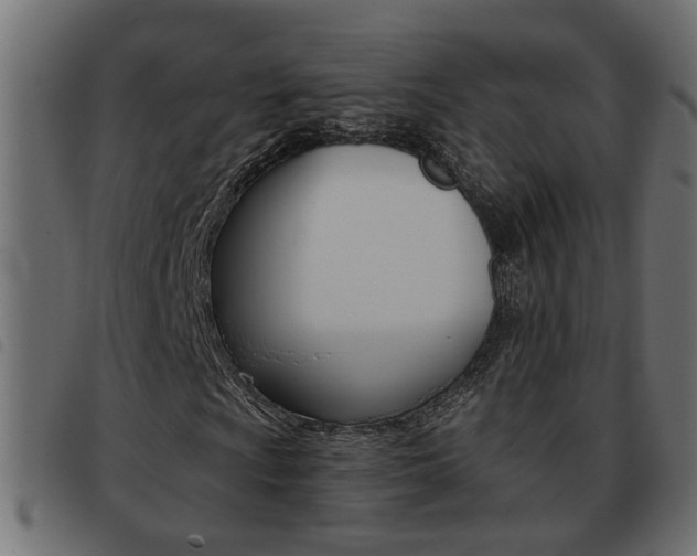 X0000093421009200710120852