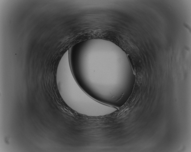 X0000093421010200710120852