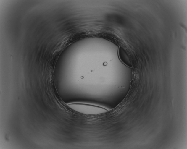 X0000093421012200710120852