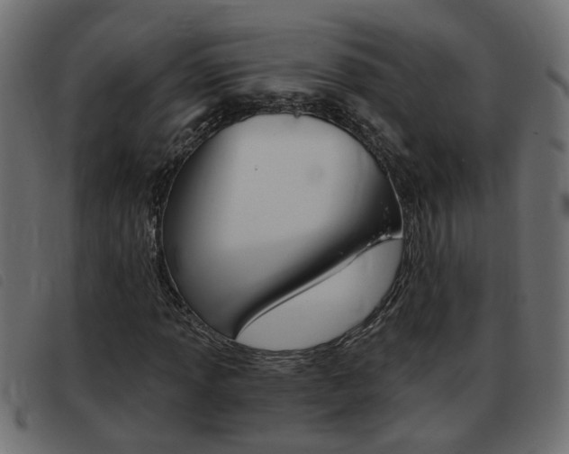 X0000093421013200710120852