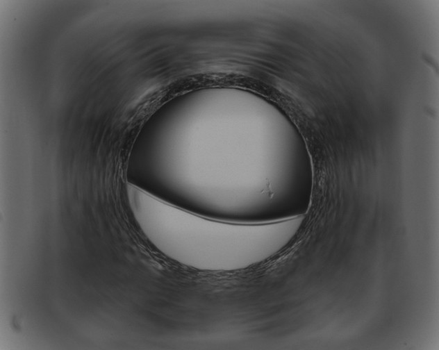 X0000093421014200710120852