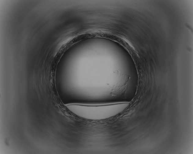 X0000093421016200710120852