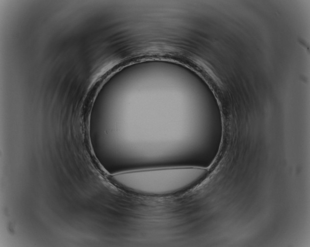 X0000093421018200710120852