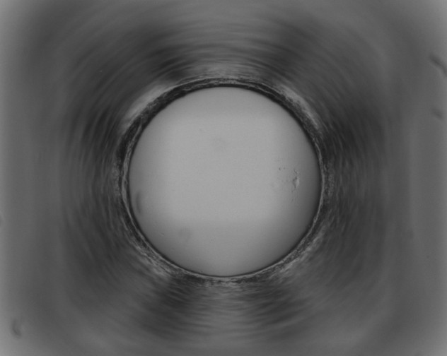 X0000093421019200710120852