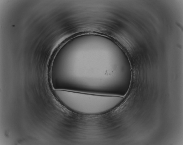 X0000093421020200710120852