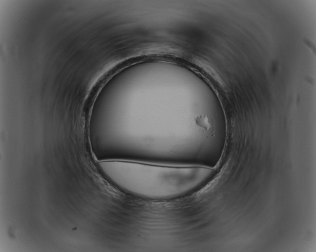 X0000093421021200710120852