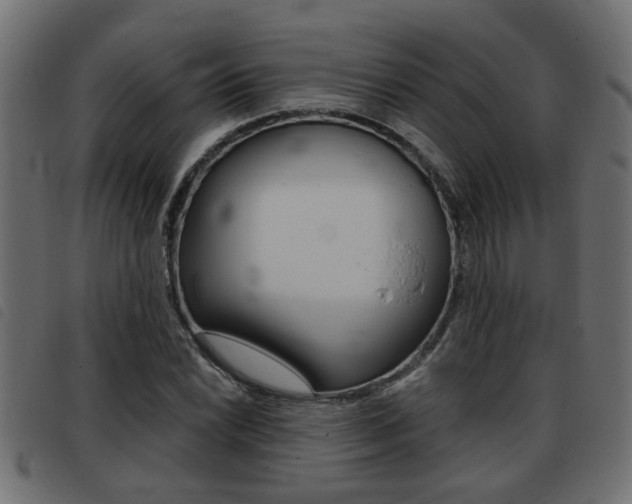 X0000093421022200710120852