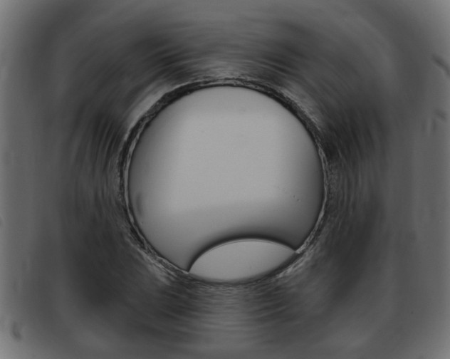 X0000093421023200710120852