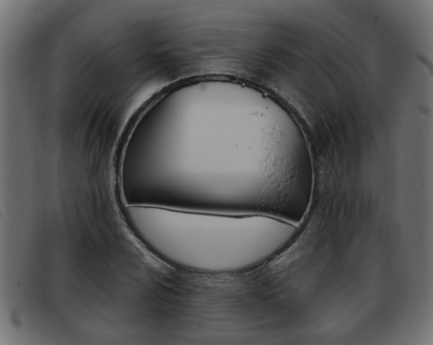 X0000093421024200710120852