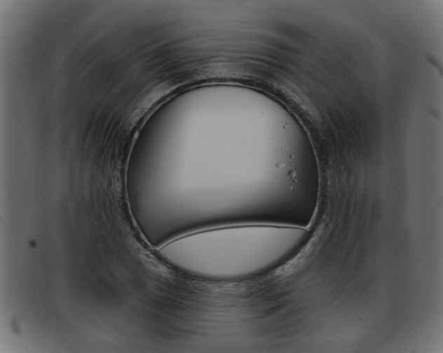 X0000093421025200710120852