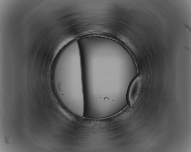 X0000093421026200710120852