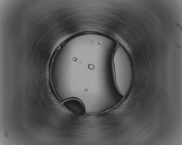 X0000093421028200710120852