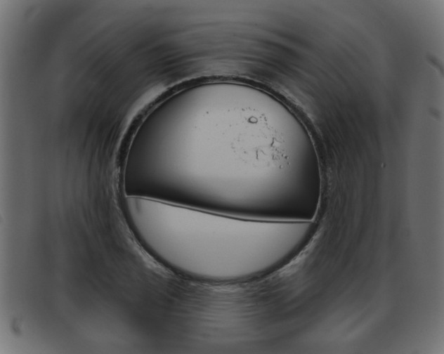 X0000093421029200710120852