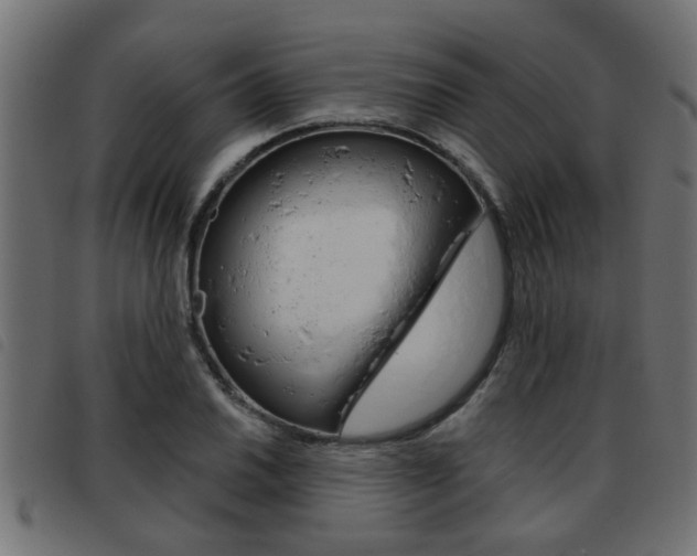X0000093421030200710120852