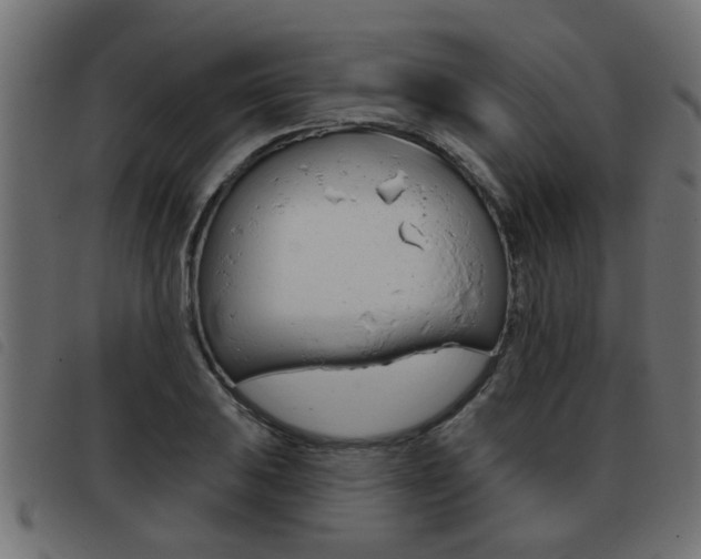 X0000093421031200710120852