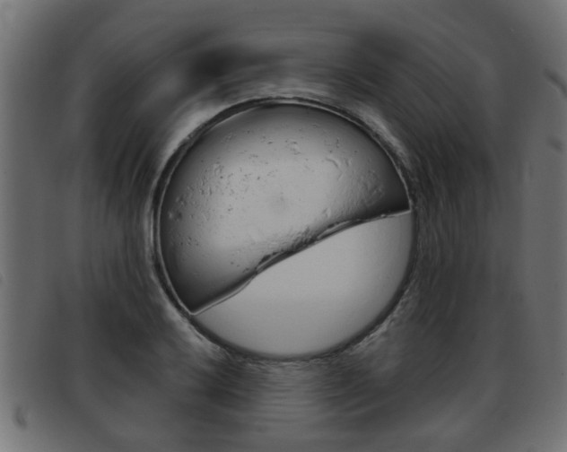 X0000093421032200710120852