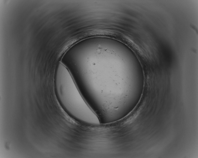 X0000093421033200710120852