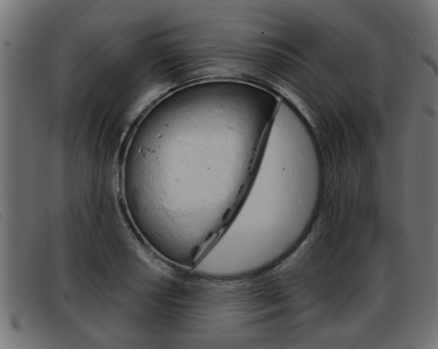 X0000093421034200710120852