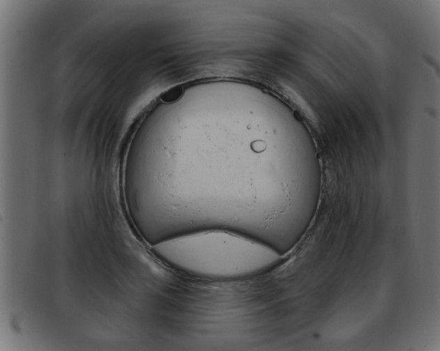 X0000093421035200710120852