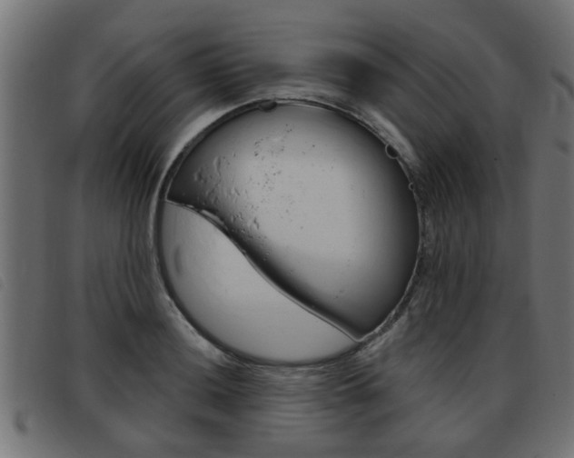 X0000093421036200710120852