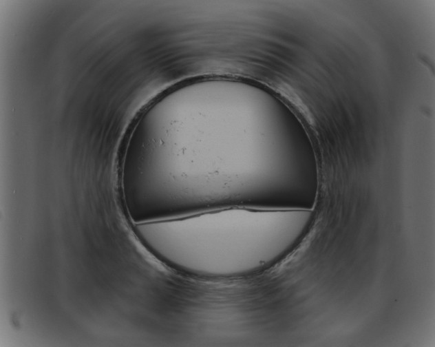 X0000093421037200710120852