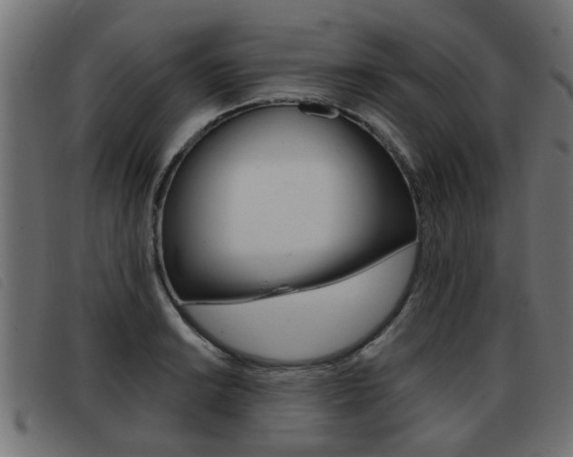 X0000093421038200710120852