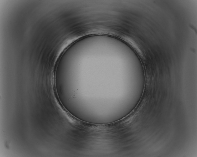 X0000093421040200710120852