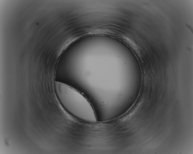 X0000093421041200710120852