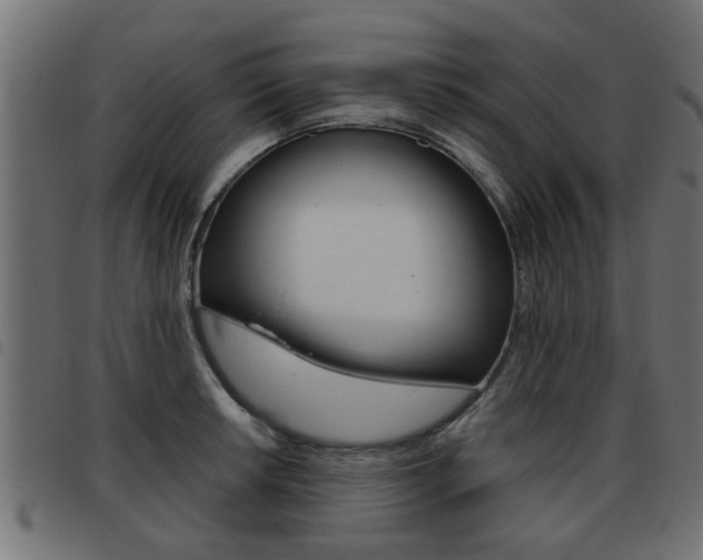 X0000093421042200710120852