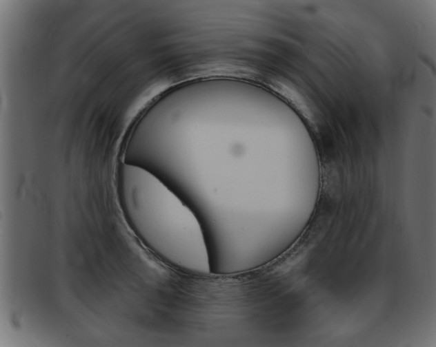 X0000093421043200710120852