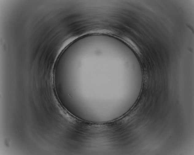 X0000093421044200710120852