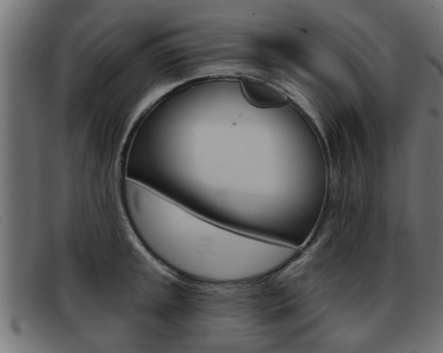 X0000093421045200710120852