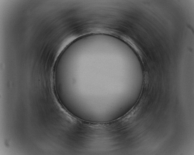 X0000093421048200710120852